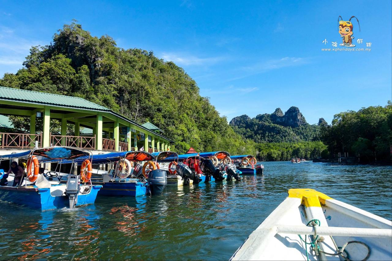 Jelajahi Ekosistem Menakjubkan dalam Mangrove Tour Langkawi